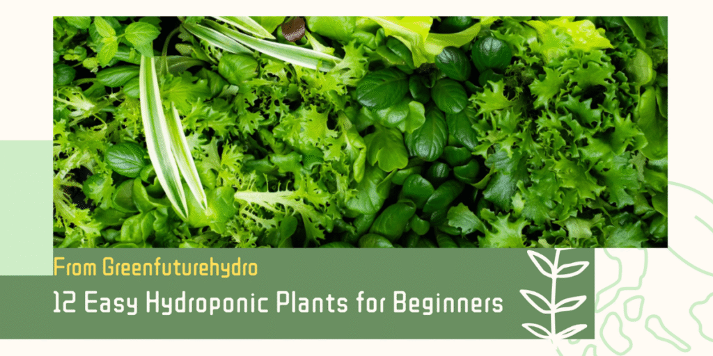 12 Easy Hydroponic Plants for Beginners