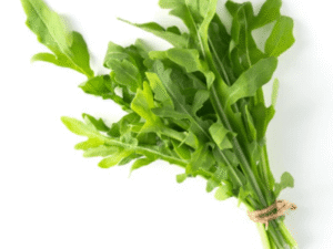 Hydroponic arugula growing fast for beginner gardeners.