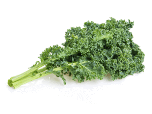 Hydroponic kale thriving in a beginner-friendly indoor garden.