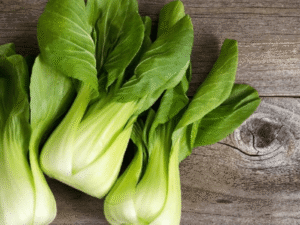 Pak Choi growing in beginner hydroponic systems at home.