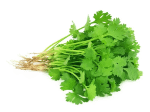 Swiss parsley growing hydroponically in a home garden.