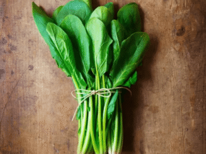 Spinach thriving in beginner hydroponic gardens indoors.