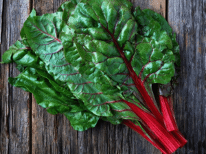 Bright Swiss chard in a beginner-friendly hydroponic setup.