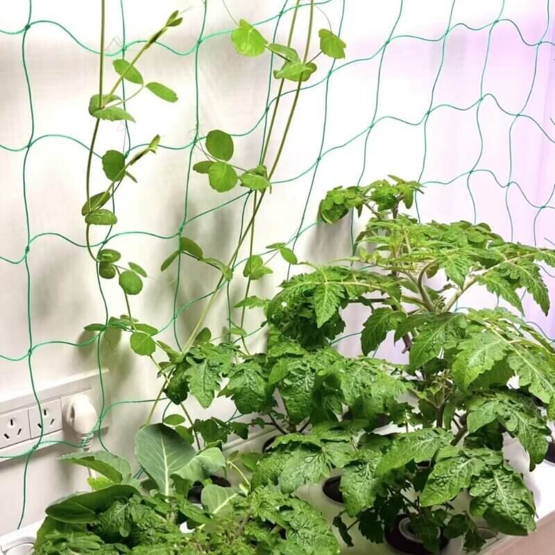 Indoor hydroponic system with flowering plants