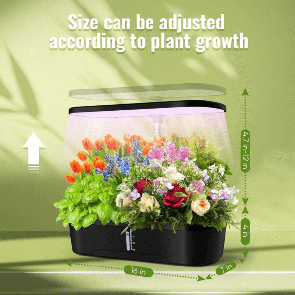 Greenfuturehydro Desktop Hydroponic Mini Garden (12 Holes) | Indoor Kitchen Growing Fun | With Water Pump | Hydroponic Supplier - 图片 2