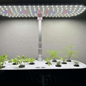 Greenfuturehydro Classroom & Kitchen Hydroponic Garden System for Herbs and Greens - 图片 3
