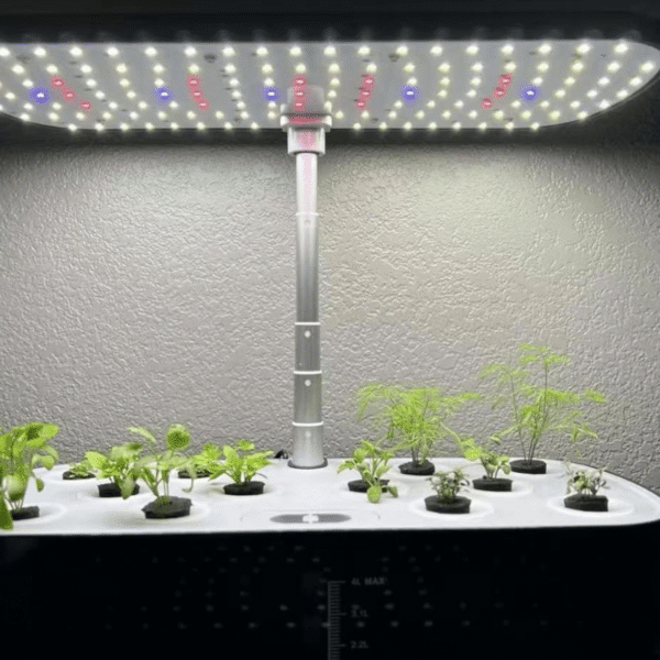 Greenfuturehydro Classroom & Kitchen Hydroponic Garden System for Herbs and Greens