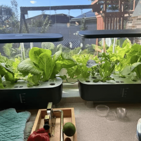 Greenfuturehydro Classroom & Kitchen Hydroponic Garden System for Herbs and Greens
