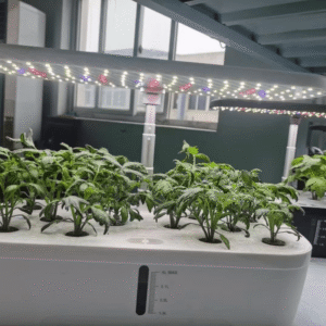 Greenfuturehydro Classroom & Kitchen Hydroponic Garden System for Herbs and Greens - 图片 6