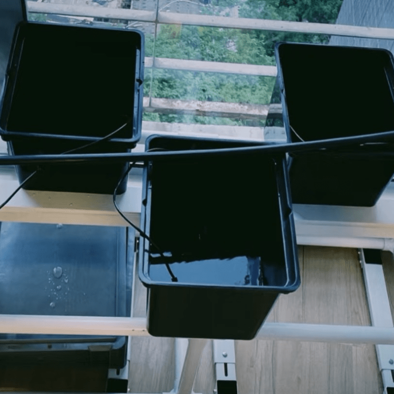 Professional Dutch bucket hydroponic system designed for balcony cultivation of cannabis, tomatoes, and herbs suitable for both indoor and outdoor environments.