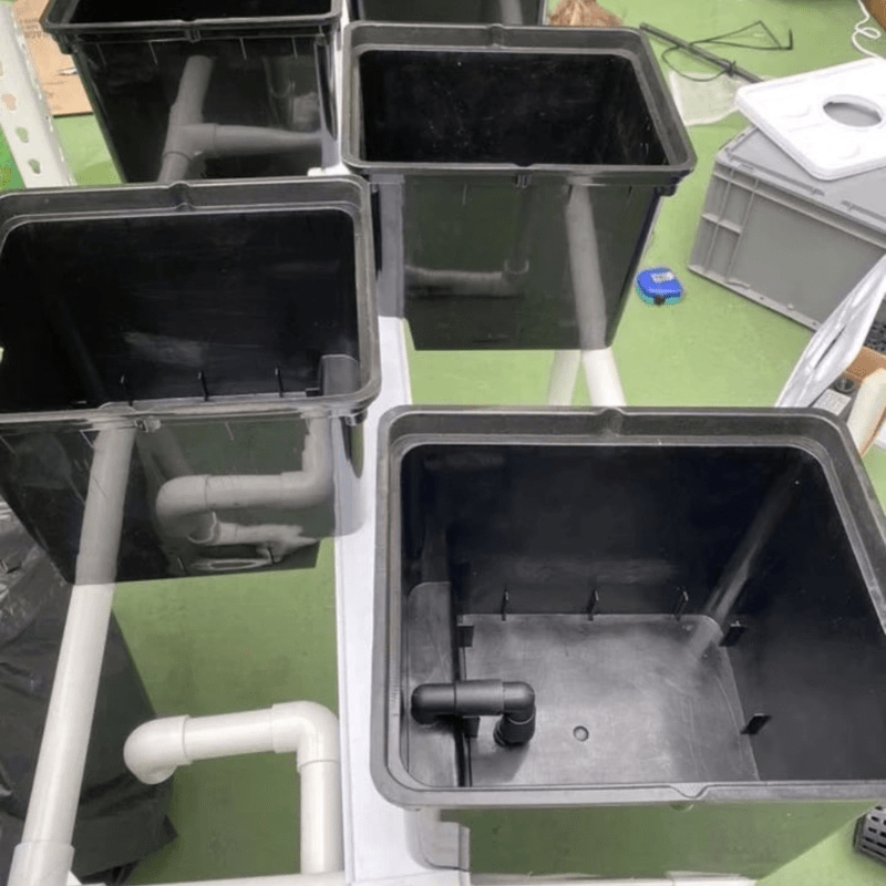 Detailed view of the Dutch bucket drip irrigation system designed for efficient hydroponic cultivation of cannabis, tomatoes, and herbs in both indoor and outdoor environments.
