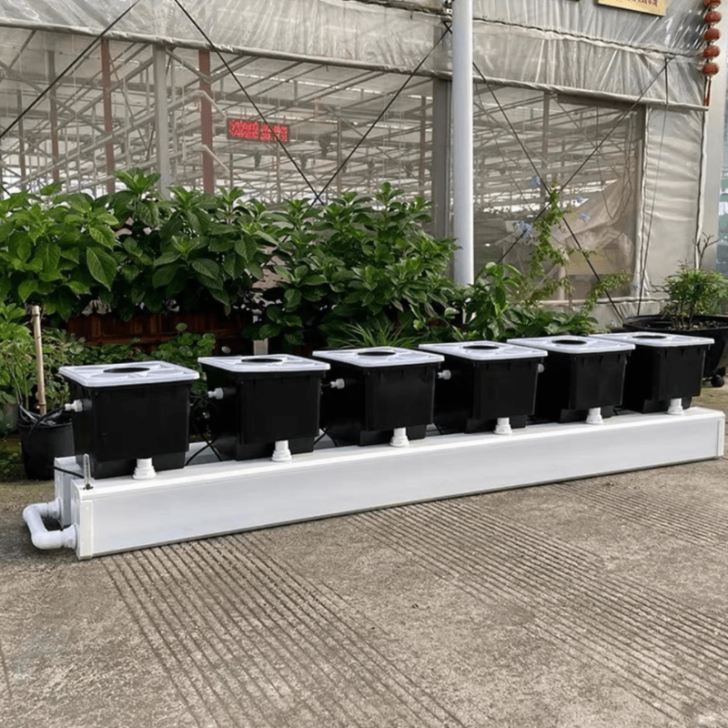 High-quality detailed image of Dutch bucket drip irrigation system designed for efficient hydroponic cultivation of cannabis, tomatoes, and herbs.
