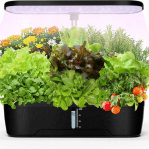 Greenfuturehydro Desktop Hydroponic Mini Garden (12 Holes) | Indoor Kitchen Growing Fun | With Water Pump | Hydroponic Supplier