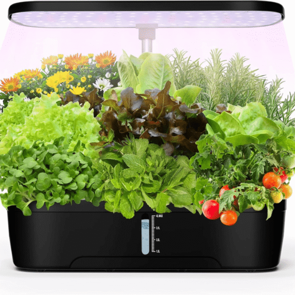 Greenfuturehydro Desktop Hydroponic Mini Garden (12 Holes) | Indoor Kitchen Growing Fun | With Water Pump | Hydroponic Supplier