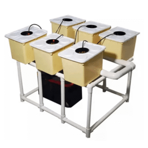Greenfuturehydro Dutch bucket DWC Hydroponic System | Smart Deep Water Culture Kit with Pump, Drip Irrigation & Foldable Tank | Grow Cannabis, Tomatoes & Herbs Indoors or Outdoors | OEM & ODM Customization Available