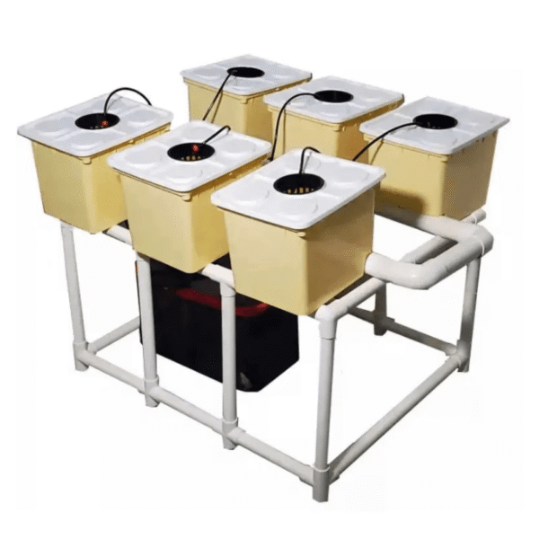 Greenfuturehydro Dutch bucket DWC Hydroponic System | Smart Deep Water Culture Kit with Pump, Drip Irrigation & Foldable Tank | Grow Cannabis, Tomatoes & Herbs Indoors or Outdoors | OEM & ODM Customization Available
