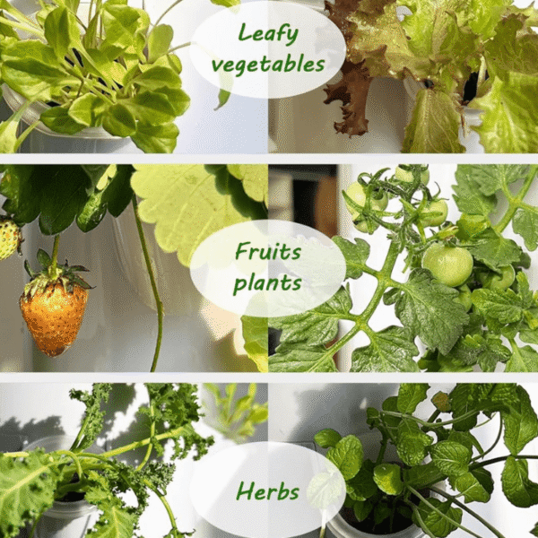 Greenfuturehydro 9-Layer 36-Pot Hydroponic Sky Tower | Fully Automatic Smart Irrigation System | Perfect for Indoor & Outdoor Gardens, Commercial Farms | By Hydroponics Manufacturer - 图片 2
