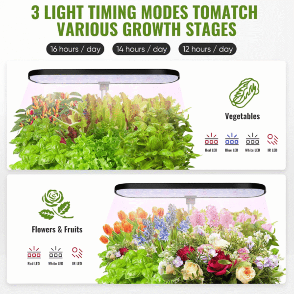 Greenfuturehydro Desktop Hydroponic Mini Garden (12 Holes) | Indoor Kitchen Growing Fun | With Water Pump | Hydroponic Supplier - 图片 4