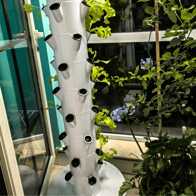Grow fresh vegetables and herbs on your balcony using a GreenFutureHydro 7-layer vertical hydroponic tower. This space-saving system is perfect for urban gardening.