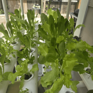 Greenfuturehydro 4 Layer 36 Hole NFT Hydroponic Rack for Indoor and Outdoor Use OEM ODM - 图片 6