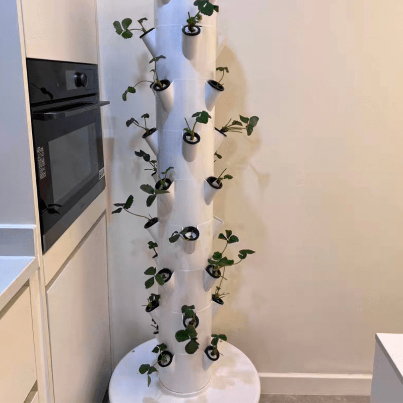 Our GreenFutureHydro vertical tower makes growing wild strawberries easy indoors. Get yours for abundant harvests!