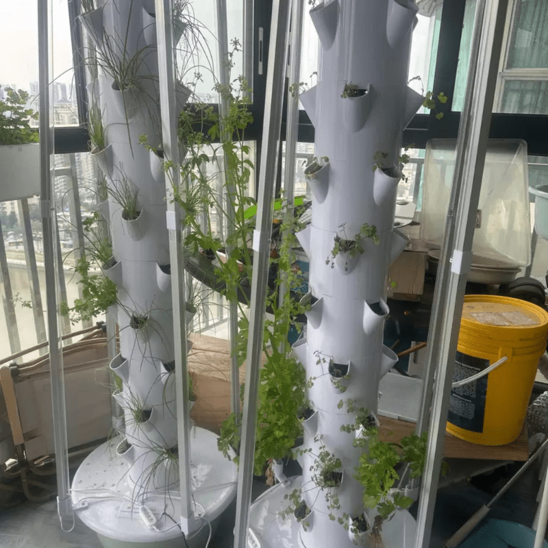 Just set up my hydroponic tower on the balcony – easy, efficient, and perfect for homegrown herbs and veggies!