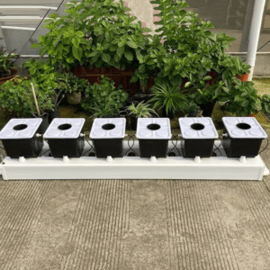 Greenfuturehydro Dutch Bucket DWC System – Cannabis, Tomatoes & Herbs | Bulk Supply - 图片 3