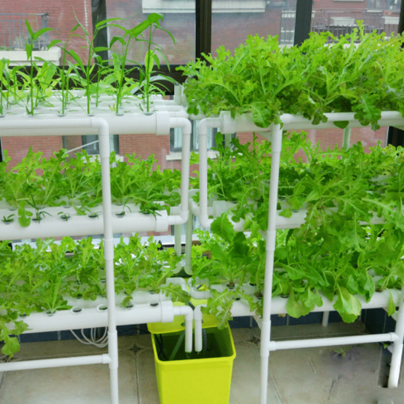 NFT108 hole planting rack indoor balcony planting