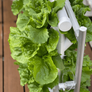 Greenfuturehydro 4 Layer 36 Hole NFT Hydroponic Rack for Indoor and Outdoor Use OEM ODM - 图片 5
