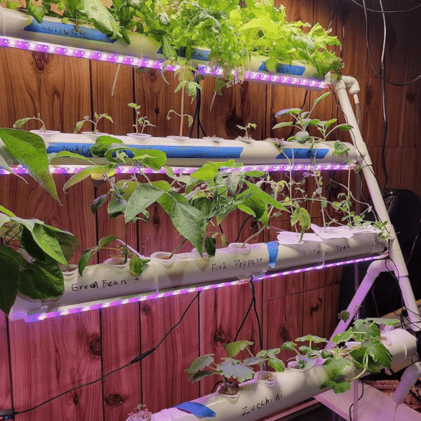 Greenfuturehydro 4 Layer 36 Hole NFT Hydroponic Rack for Indoor and Outdoor Use OEM ODM