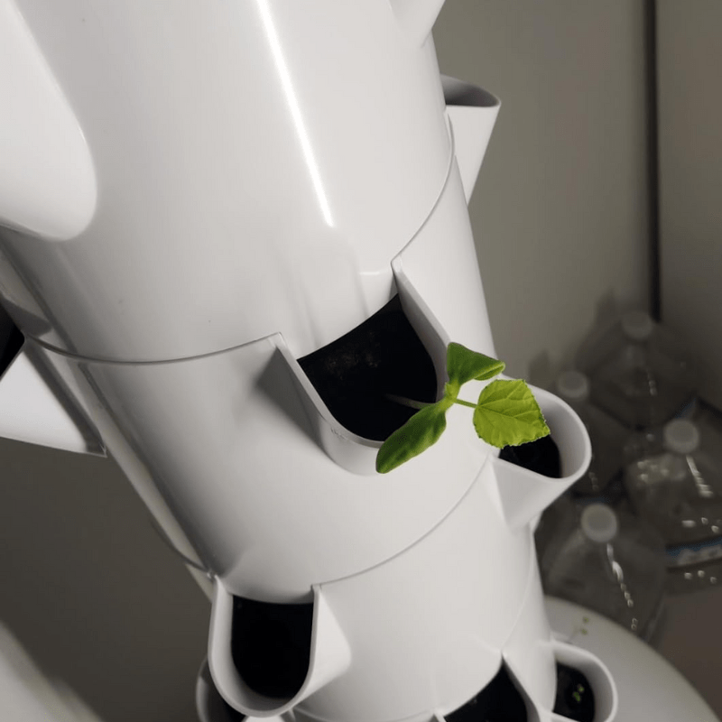 Healthy seedlings thriving in a vertical hydroponic tower, showcasing efficient soilless farming technology.