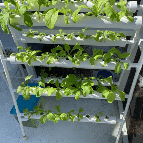 Greenfuturehydro 4 Layer 36 Hole NFT Hydroponic Rack for Indoor and Outdoor Use OEM ODM