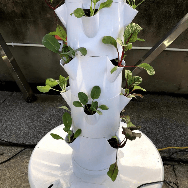 Vegetables transplanted into hydroponic towers for efficient growth indoors and outdoors.