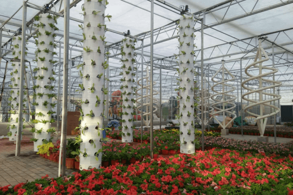 Greenhouse vertical aeroponic system supporting sustainable hydroponic for sustainable living farming methods.