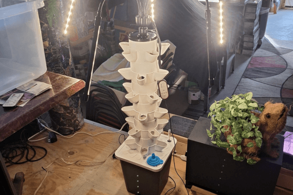 Indoor hydroponic tower with leafy greens growing, perfect for space-saving urban gardening.