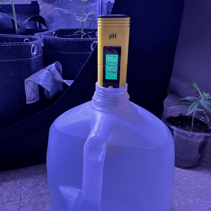 PH meter testing bottled water