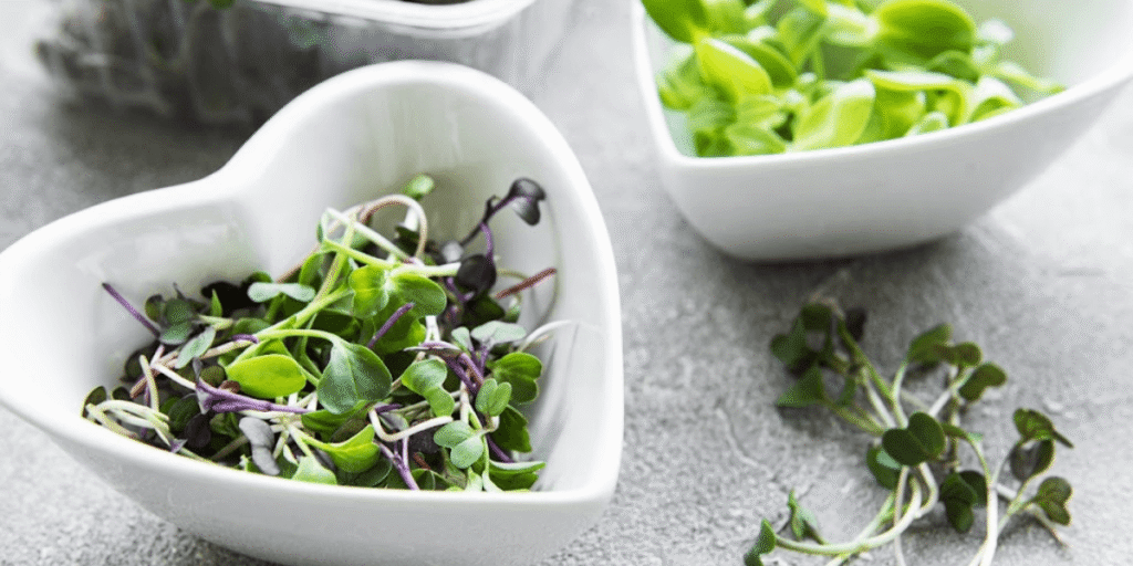 A bowl filled with freshly harvested microgreens ready to be used in meals.