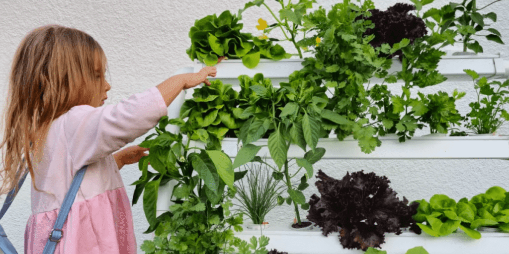Hydroponic System Maintenance: Tips and Tricks