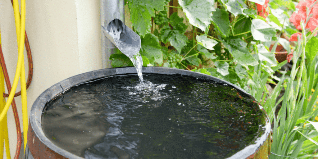 Selecting safe and effective water sources for hydroponic systems to ensure optimal plant growth.