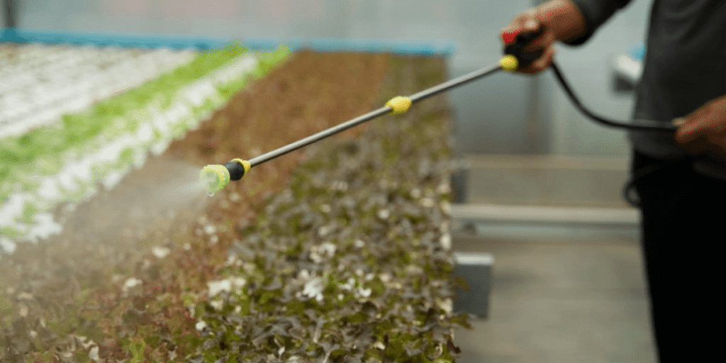 Emergency response to hydroponic pests by manually spraying organic insecticide.