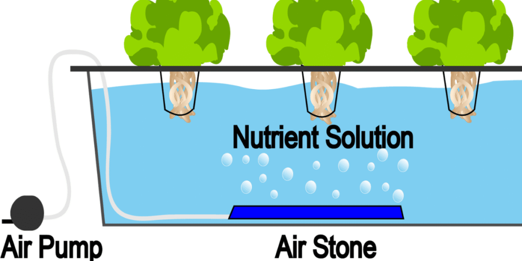 DWC hydroponic system diagram showing air pump, air stone, and nutrient solution