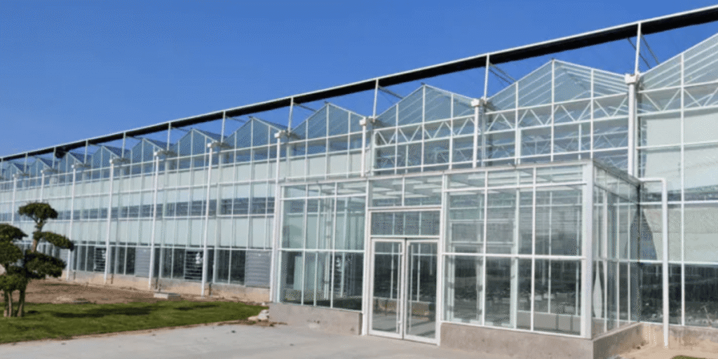 Glass greenhouse providing optimal light for hydroponic crops.
