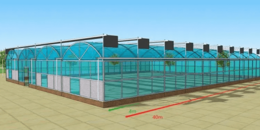 Structural design and construction process of a modern greenhouse.