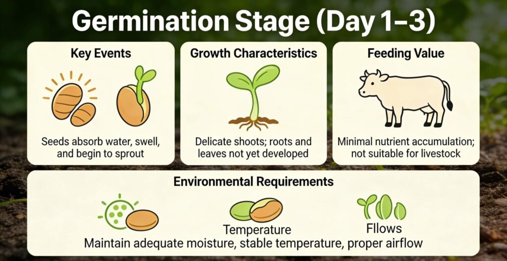Hydroponic fodder germination stage, sprouts emerging on day 1–3
