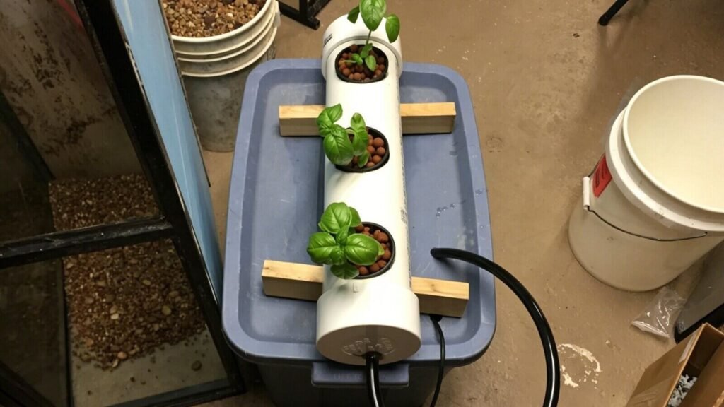 DIY NFT hydroponic basil growing at home.