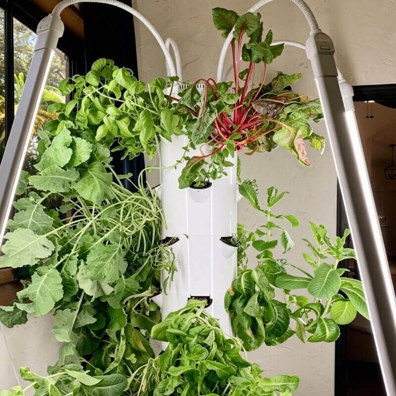 Easy hydroponic tower system for apartment gardening and beginner hydroponic growing
