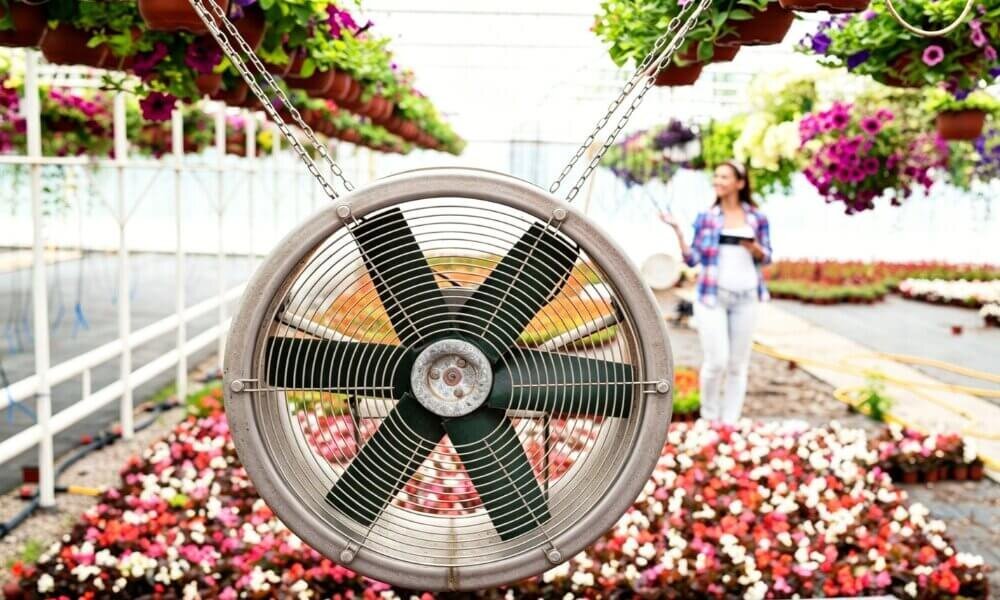 Fan airflow microgreens indoor farming healthy growth.