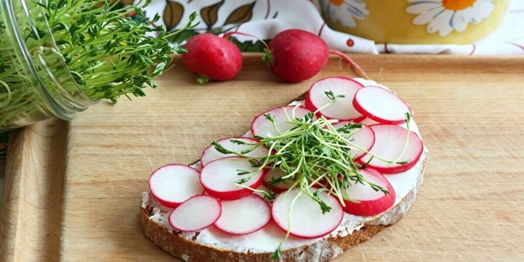 fresh sandwich microgreens easy healthy lunch.