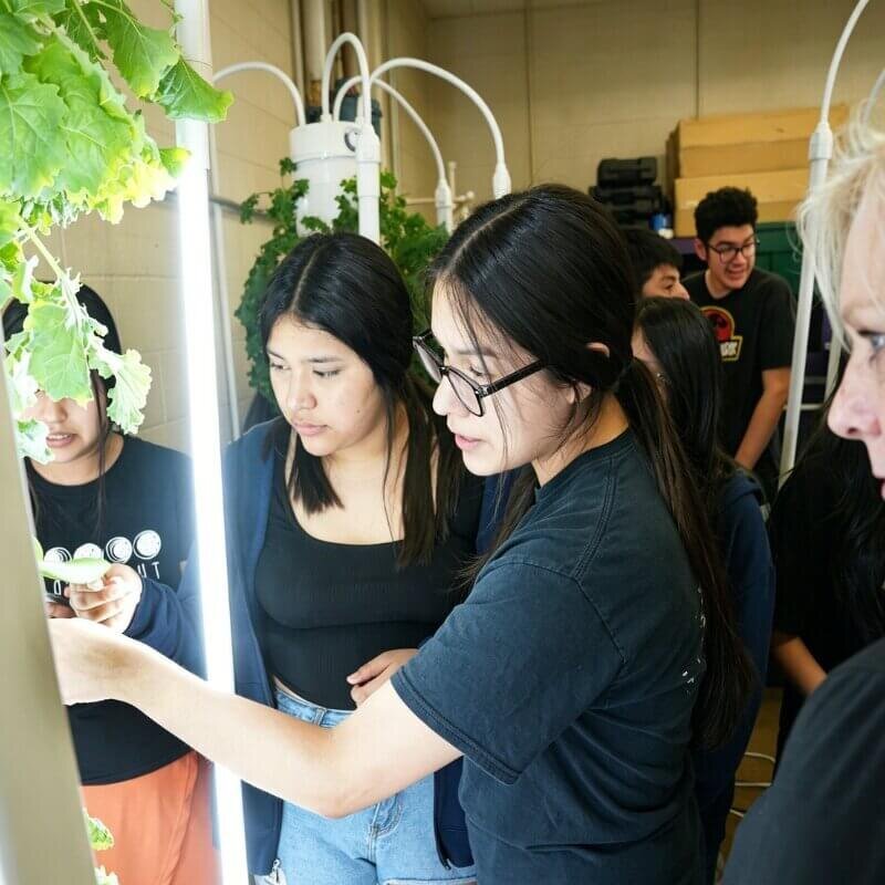 Students attending a hydroponic laboratory workshop