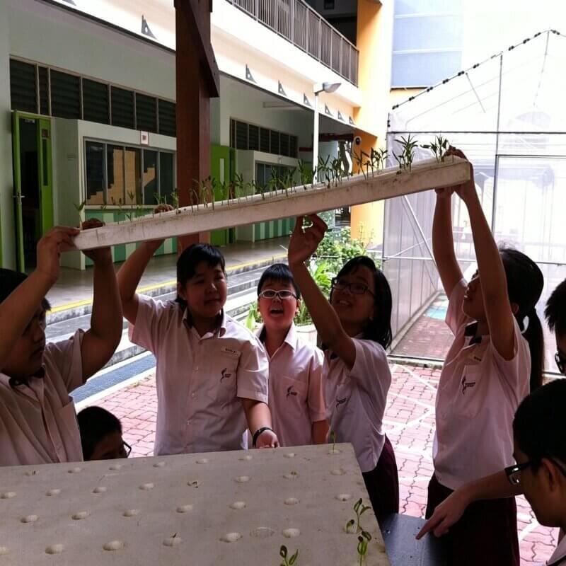 Students exploring hydroponic system outdoors in group STEM learning activity